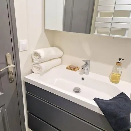 Apartment Tres Beau Studio Terrasse Privative, Plein Centre Troyes