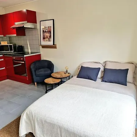 Apartment Tres Beau Studio Terrasse Privative, Plein Centre Troyes